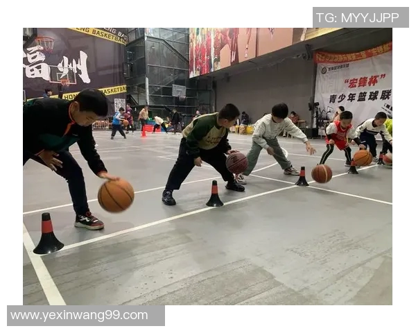 2016年篮球明星风云录:那些年我们追逐的传奇与梦想